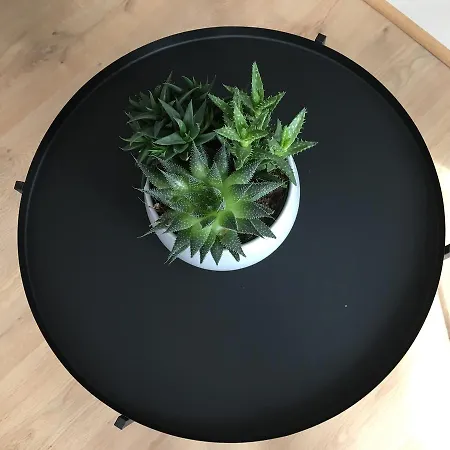 Apartamento Erik Satie